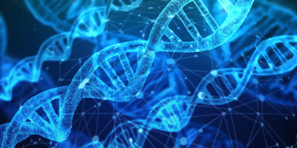 dna-980-opt